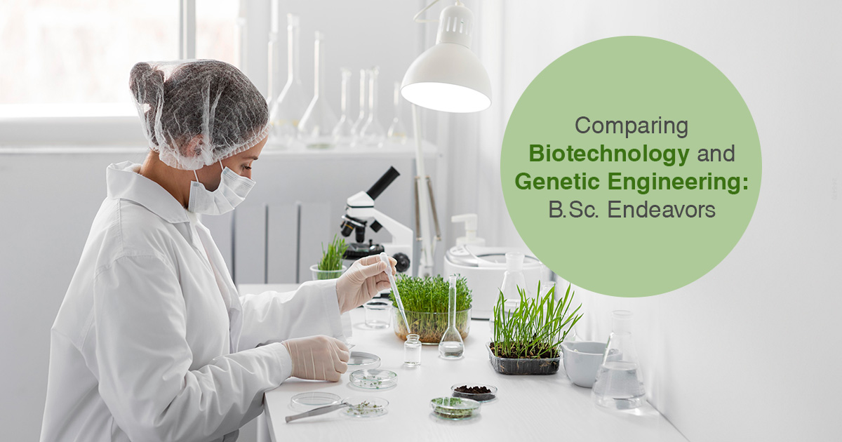 Comparing Biotechnology and Genetic Engineering: B.Sc. Endeavours