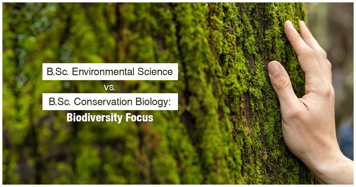 B.Sc. Environmental Science vs. B.Sc. Conservation Biology: Biodiversity Focus