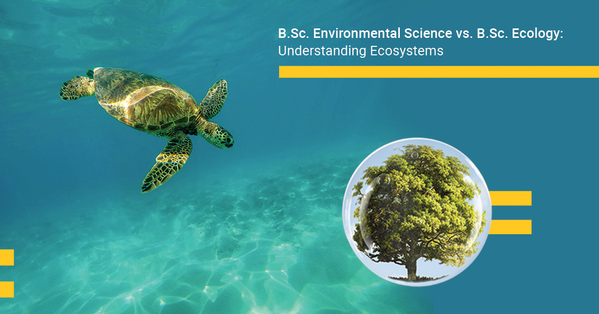 B.Sc. Environmental Science vs. B.Sc. Ecology: Understanding Ecosystems