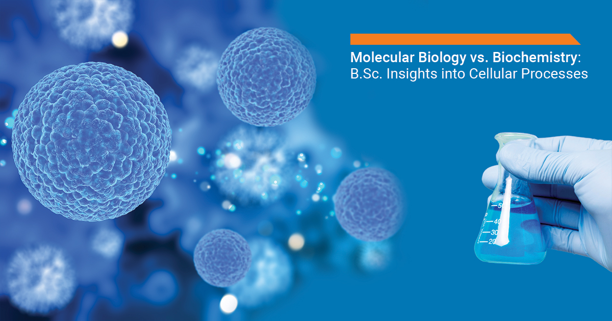 Molecular Biology vs. Biochemistry: B.Sc. Insights into Cellular Processes