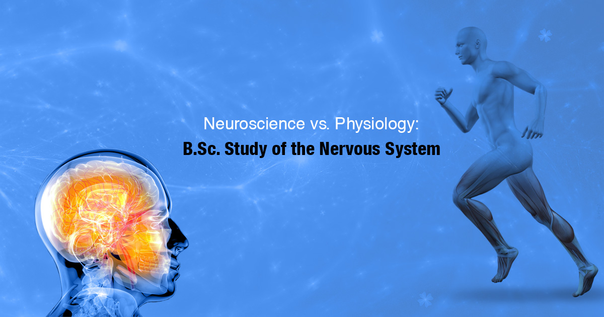 Neuroscience vs. Physiology: B.Sc. Study of the Nervous System