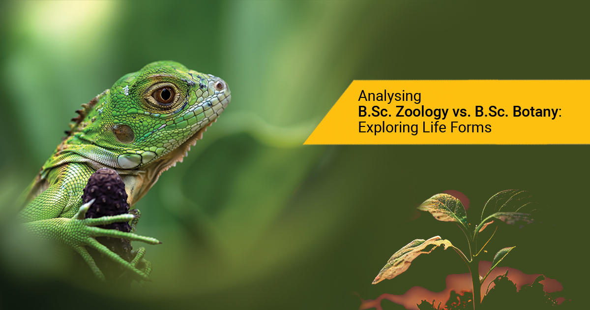 Analysing B.Sc. Zoology vs. B.Sc. Botany: Exploring Life Forms